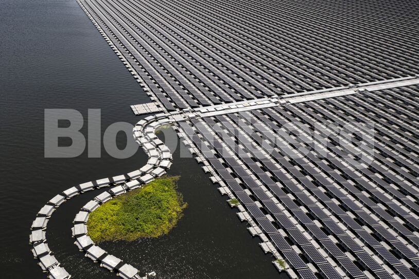 solar farms out at sea are clean energy’s next breakthrough 3