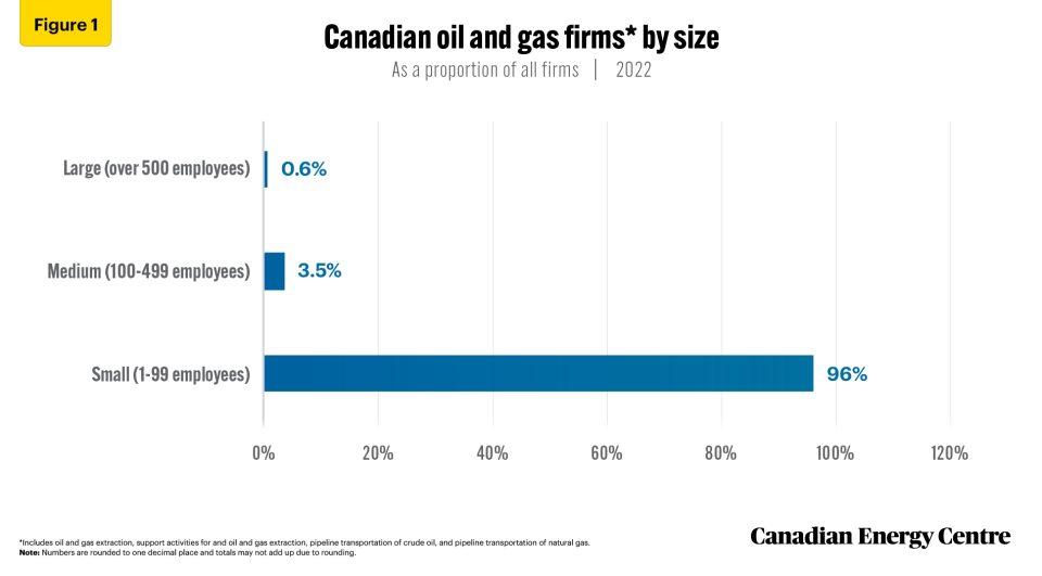 small business continues to account for the vast majority of oil and gas firms in canada 1