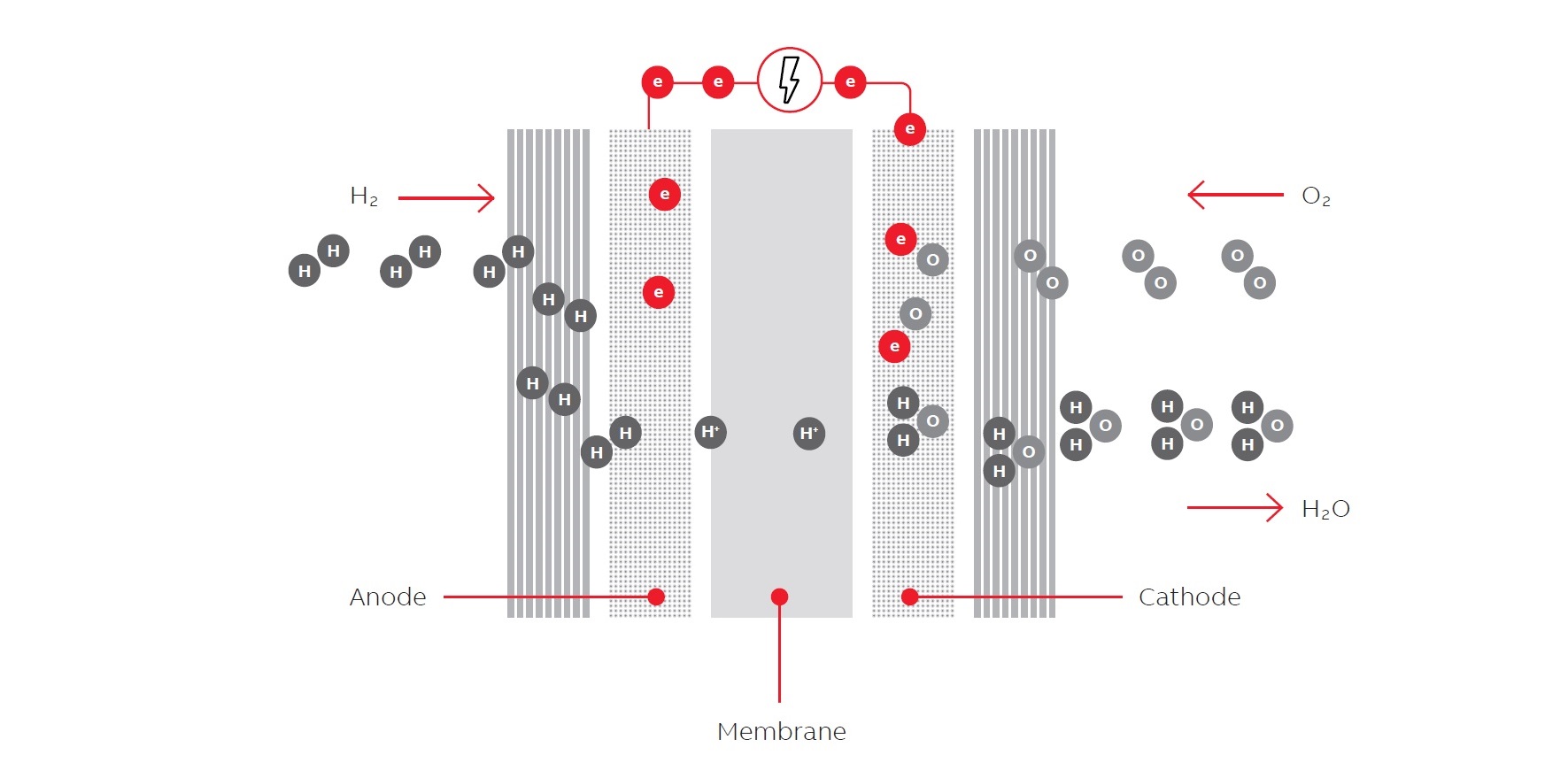 fuel cell