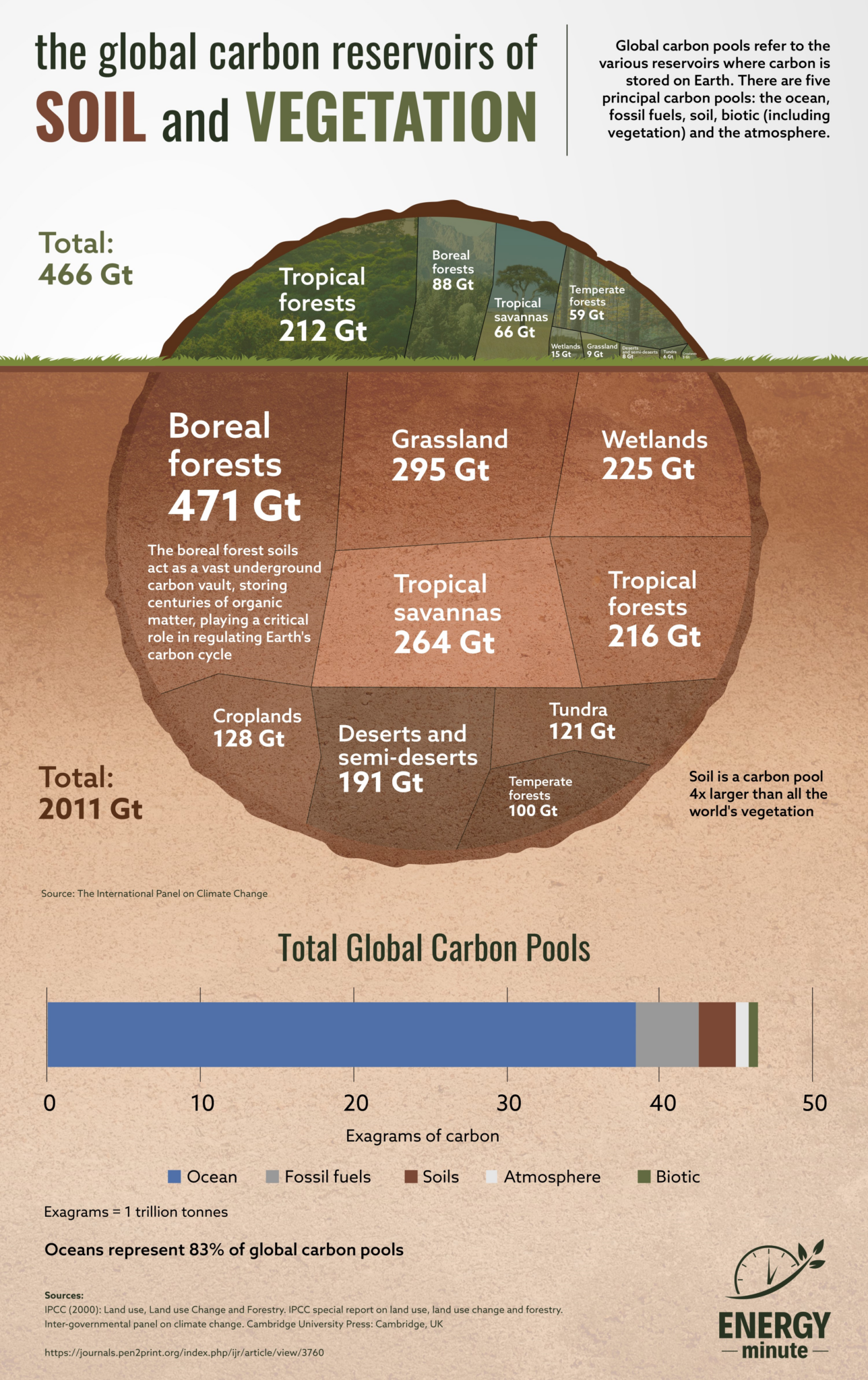 infographic the global carbon reserves of soil and vegetation energyminute