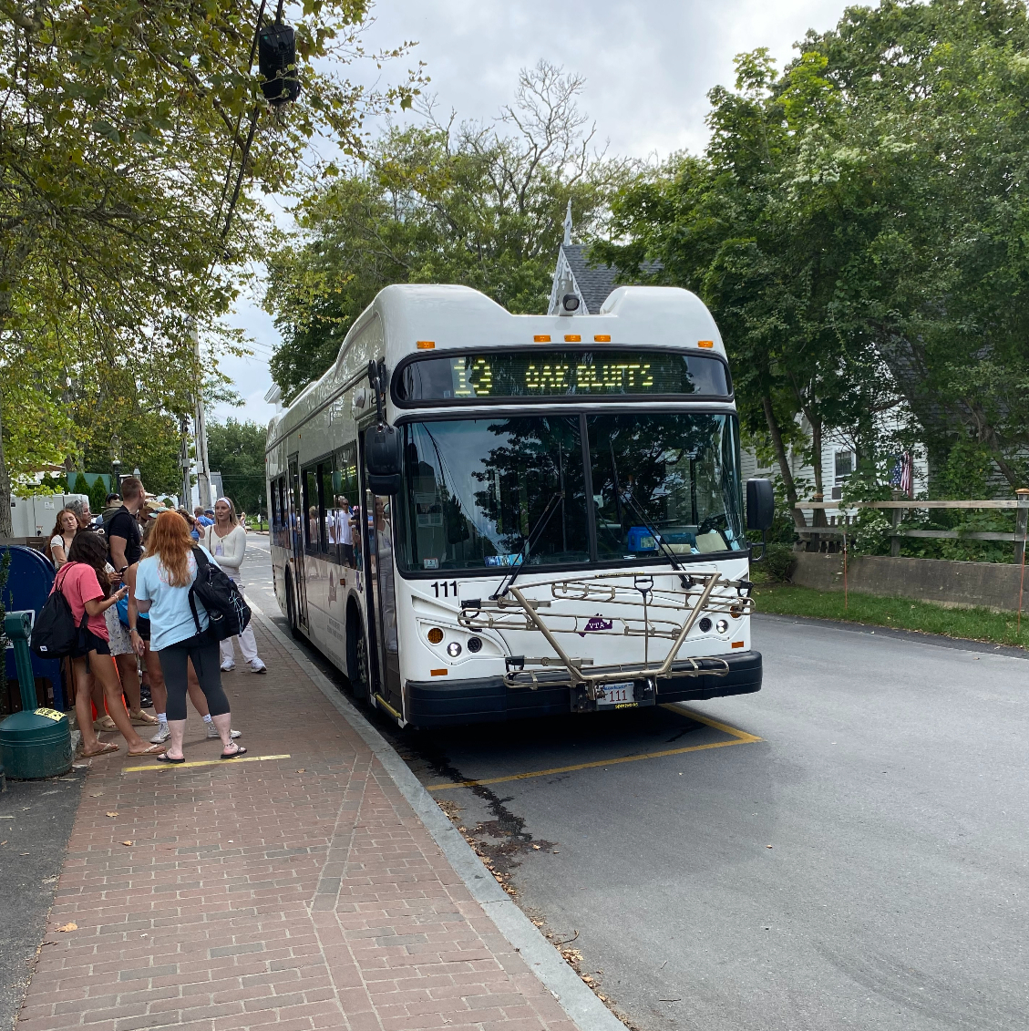 electric buses