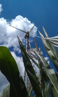 photo of a 50-kW wind turbine