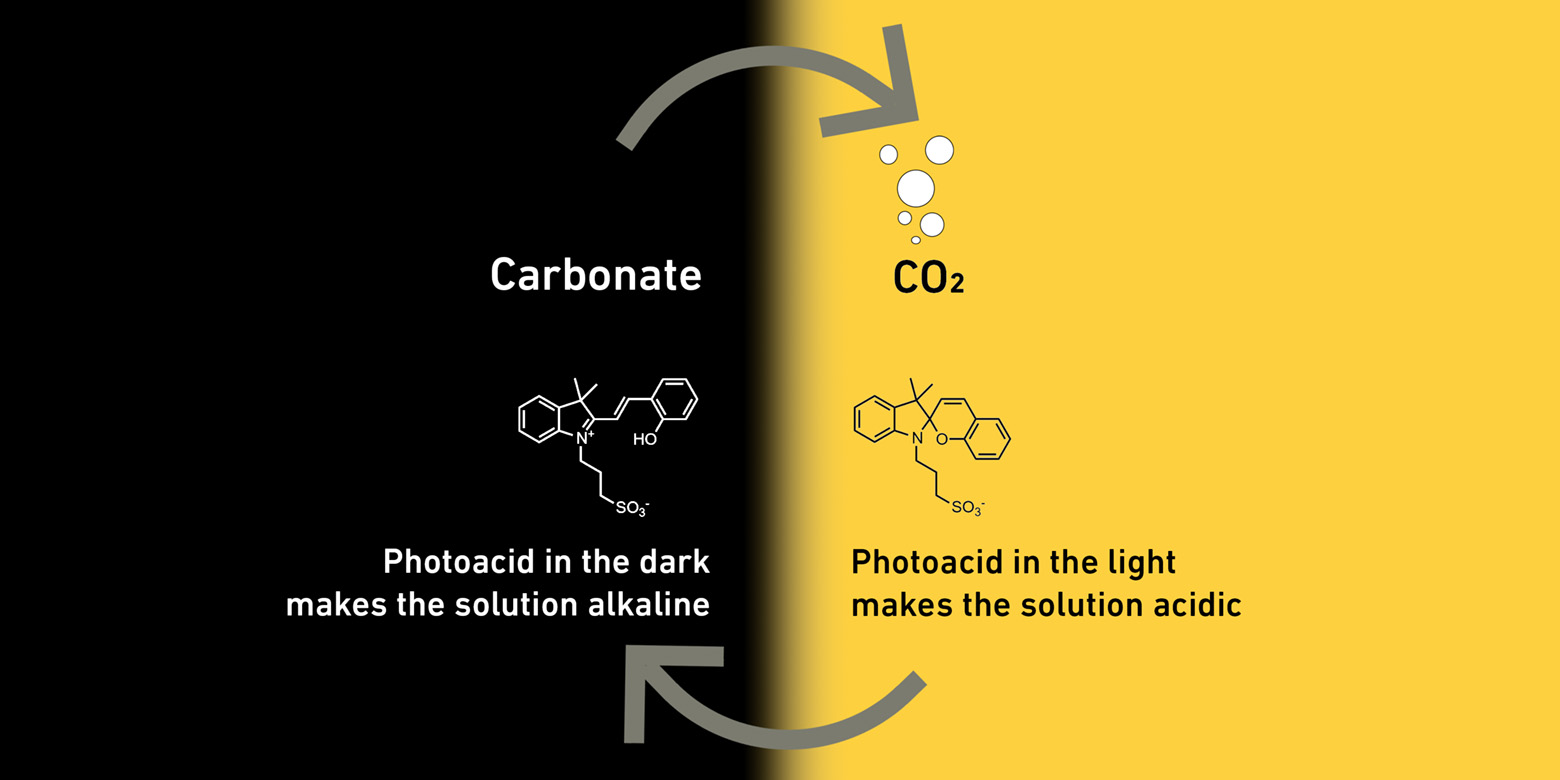 carbon capture