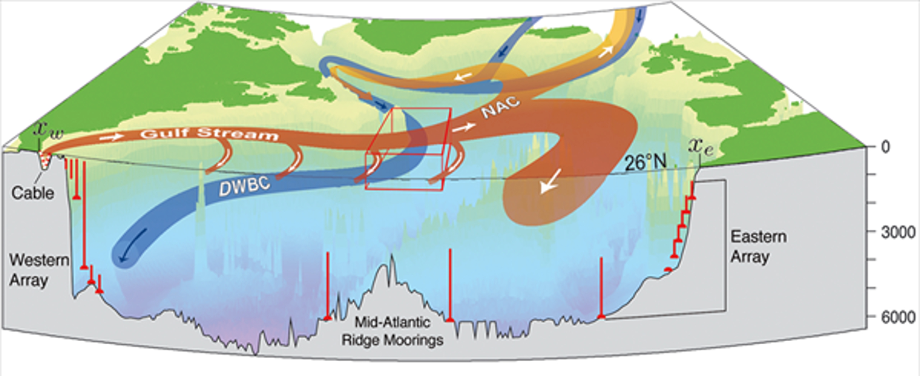 Gulf Stream